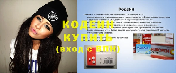 шишки Кулебаки