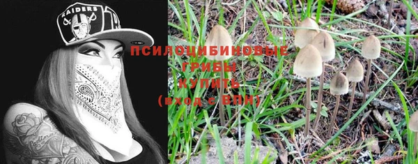 шишки Кулебаки