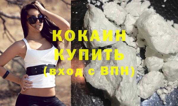 шишки Кулебаки
