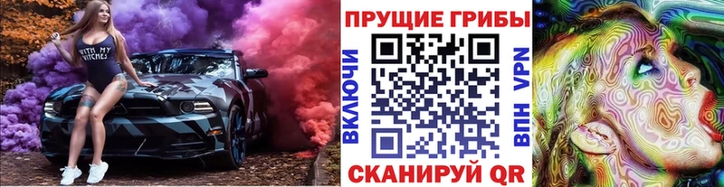 Купить закладки  Моздок  Псилоцибиновые грибы ЛСД 